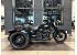 2023 Harley-Davidson Trike