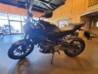 Thumbnail Photo 3 for 2023 Honda CB300R ABS