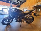 Thumbnail Photo 2 for 2023 Honda CB300R ABS