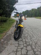 Thumbnail Photo 2 for 2023 Honda Fury