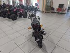 Thumbnail Photo 4 for New 2023 Honda Grom