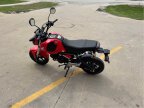 Thumbnail Photo 3 for 2023 Honda Grom