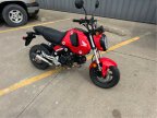 Thumbnail Photo 6 for 2023 Honda Grom