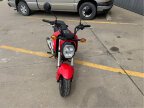 Thumbnail Photo 5 for 2023 Honda Grom