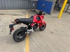 Thumbnail Photo 1 for 2023 Honda Grom