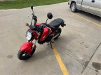Thumbnail Photo 4 for 2023 Honda Grom