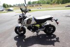 Thumbnail Photo 5 for 2023 Honda Grom