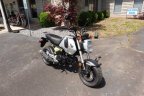 Thumbnail Photo 2 for 2023 Honda Grom