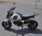 Thumbnail Photo 2 for 2023 Honda Grom