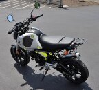 Thumbnail Photo 3 for 2023 Honda Grom