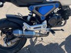 Thumbnail Photo 6 for 2023 Honda Grom