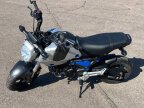 Thumbnail Photo 3 for 2023 Honda Grom