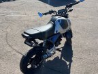 Thumbnail Photo 5 for 2023 Honda Grom