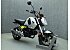 2023 Honda Grom