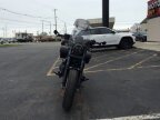 Thumbnail Photo 3 for 2023 Honda Rebel 1100