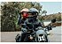 2023 Honda Rebel 1100 DCT