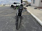 Thumbnail Photo 2 for 2023 Honda Rebel 500