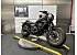 2023 Honda Rebel 500