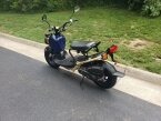 Thumbnail Photo 3 for New 2023 Honda Ruckus