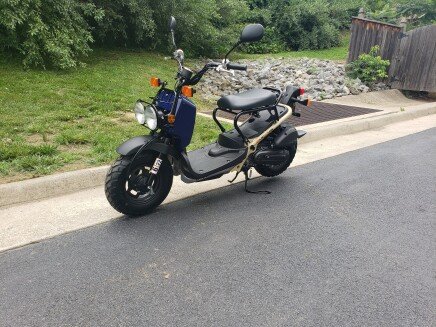 Photo 1 for New 2023 Honda Ruckus