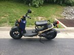 Thumbnail Photo 2 for New 2023 Honda Ruckus