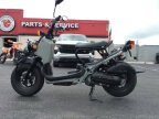 Thumbnail Photo 4 for 2023 Honda Ruckus