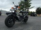 Thumbnail Photo 5 for 2023 Honda Ruckus