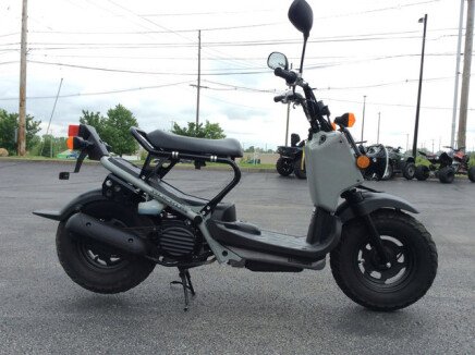 Photo 1 for 2023 Honda Ruckus