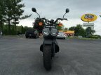 Thumbnail Photo 6 for 2023 Honda Ruckus