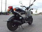 Thumbnail Photo 1 for 2023 Honda Ruckus