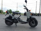 2023 Honda Ruckus