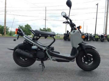 2023 Honda Ruckus
