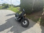 Thumbnail Photo 2 for 2023 Honda Shadow