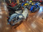 Thumbnail Photo 6 for New 2023 Honda Super Cub C125