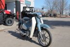 Thumbnail Photo 2 for 2023 Honda Super Cub C125