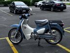Thumbnail Photo 5 for 2023 Honda Super Cub C125