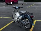 Thumbnail Photo 3 for 2023 Honda Super Cub C125