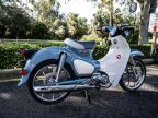 Thumbnail Photo 5 for New 2023 Honda Super Cub C125
