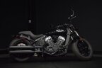 Thumbnail Photo 5 for 2023 Indian Scout