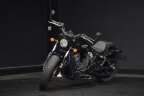 Thumbnail Photo 2 for 2023 Indian Scout