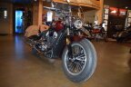 Thumbnail Photo 1 for 2023 Indian Scout ABS