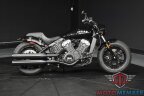 Thumbnail Photo 1 for 2023 Indian Scout