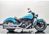 2023 Indian Scout