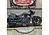 2023 Indian Scout Bobber