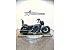 2023 Indian Scout
