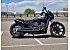 2023 Indian Scout