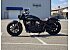 2023 Indian Scout