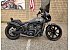 2023 Indian Scout