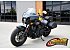 2023 Indian Scout