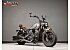 2023 Indian Scout